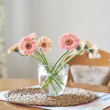 Lovely, View Apartment, Centre Апартаменты Вильнюс