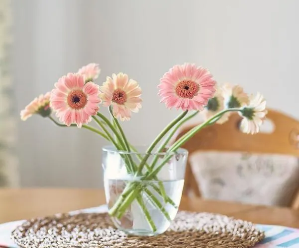 Lovely, View Apartment, Centre Апартаменти Вільнюс